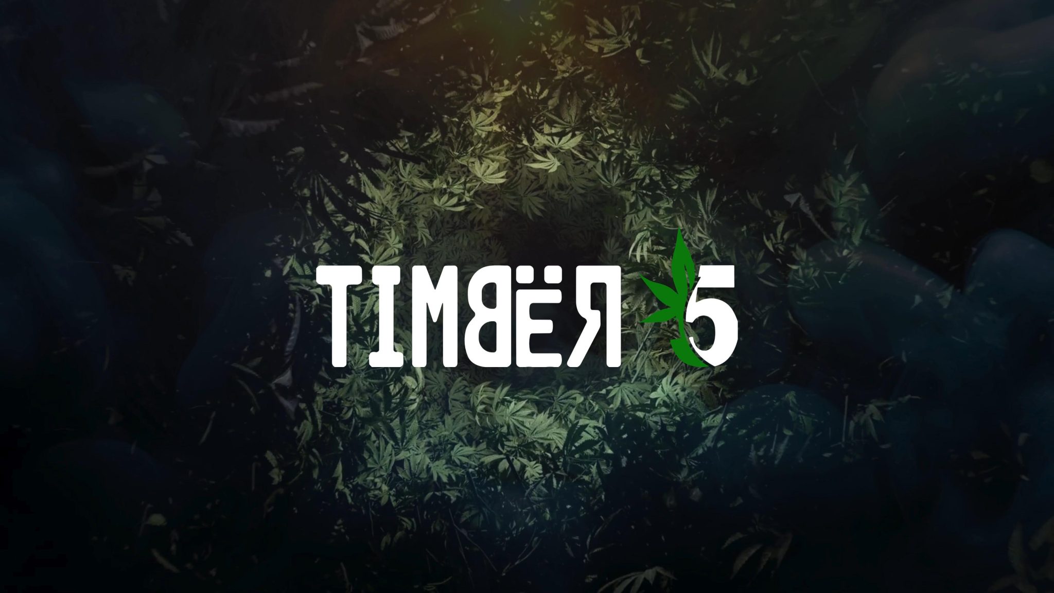 Timber 5 Dispensary logo